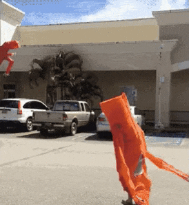 ezgif.com-gif-maker - 2022-08-05T184722.703.gif