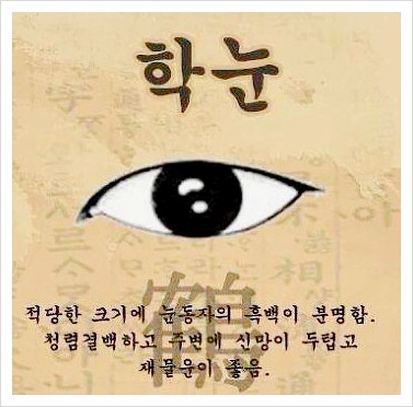 익스트림무비 - 지붕이 저를 자꾸 보아요
