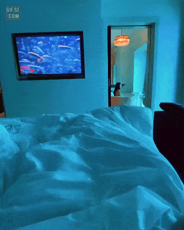 ezgif.com-optimize (5).gif