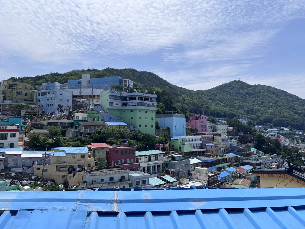 IMG_7344.jpeg.jpg