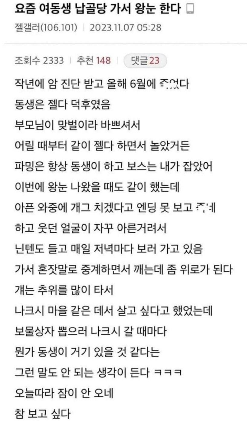 여동생 납골당 가서 닌텐도 하는 친오빠.jpg