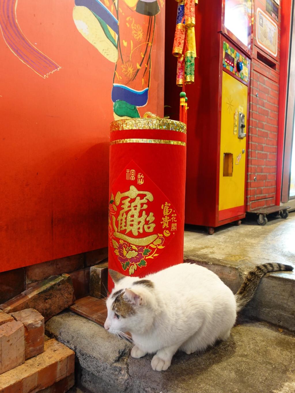 UD_75_yabuki_3835958020640302095_6938463993_2026_ 3_ 11_.jpg