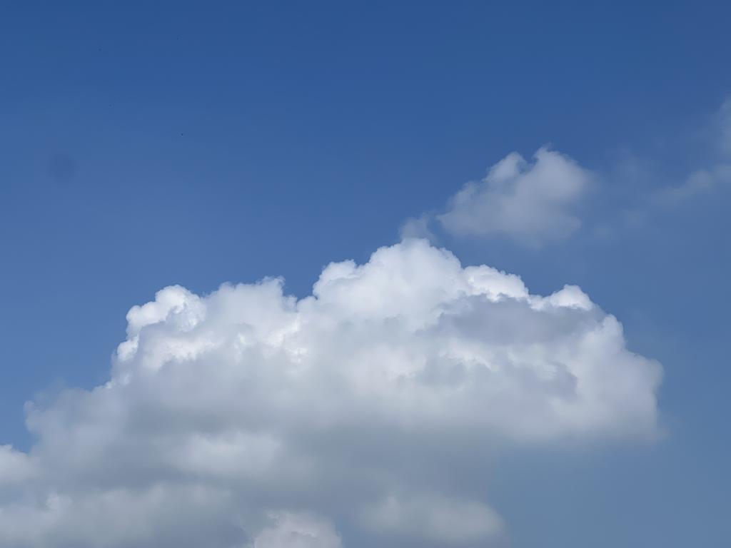 951FA573-A52B-4E10-9C7A-FEB9C8D8A76B.jpeg.jpg