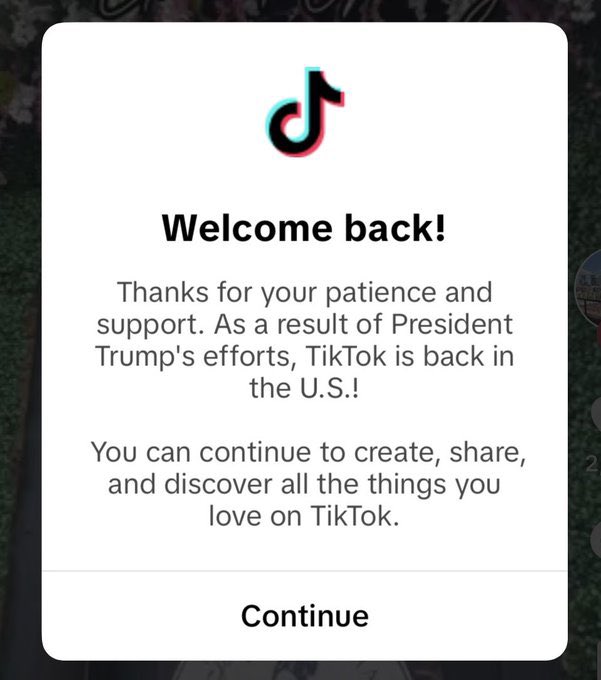 TikTok is officially back online in the US.jpg