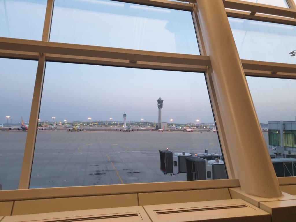20190415_055512.jpg