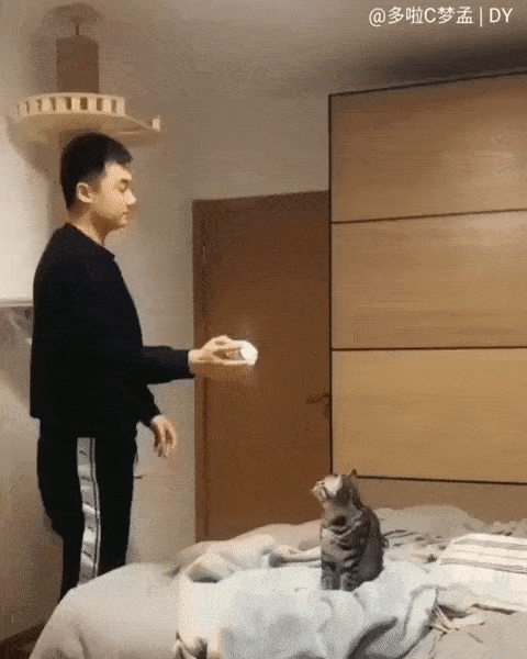 ezgif.com-optimize (13).gif