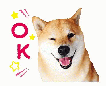 A9A9587F-FCAD-4E17-A447-A54406DF6742.gif