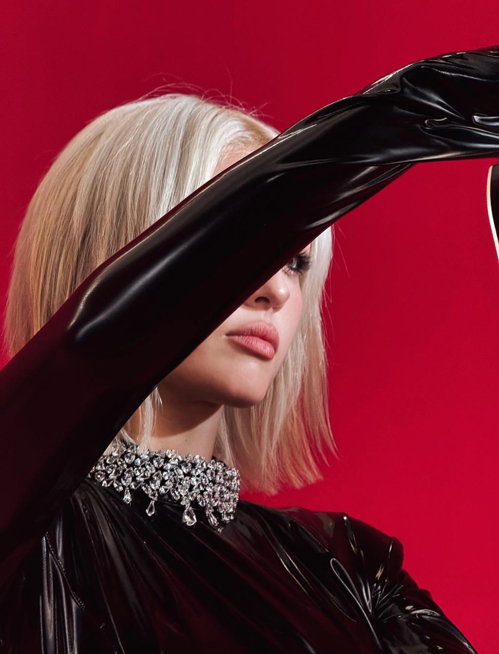 [image] - 3239163.jpg