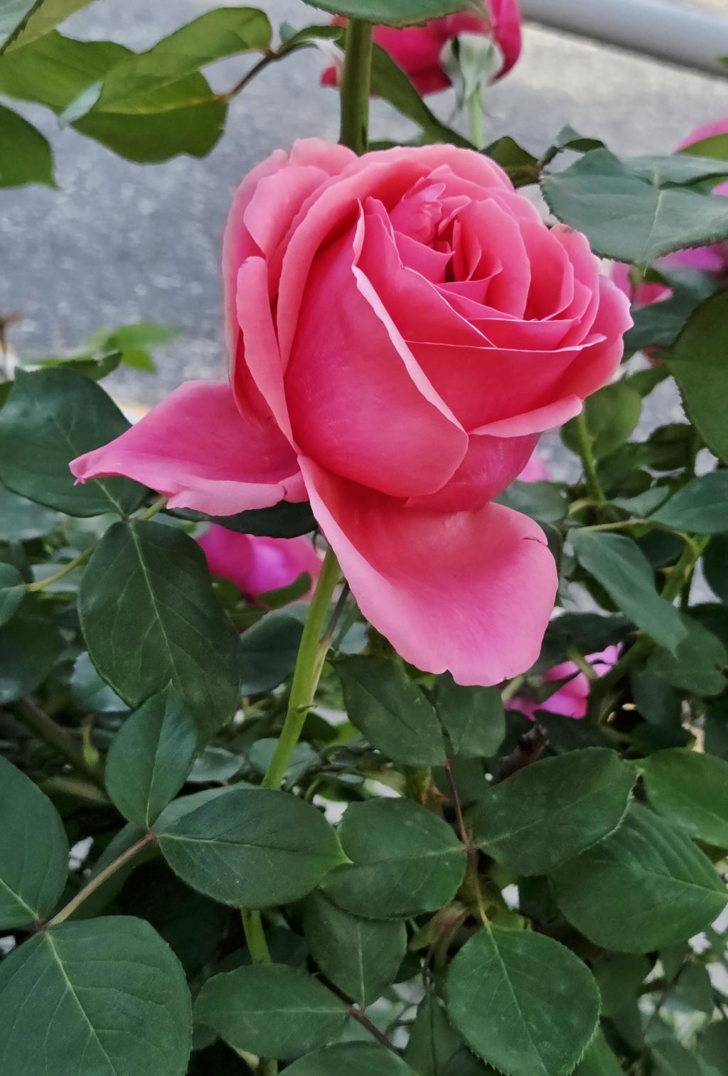 KakaoTalk_20260514_225556187_01.jpg