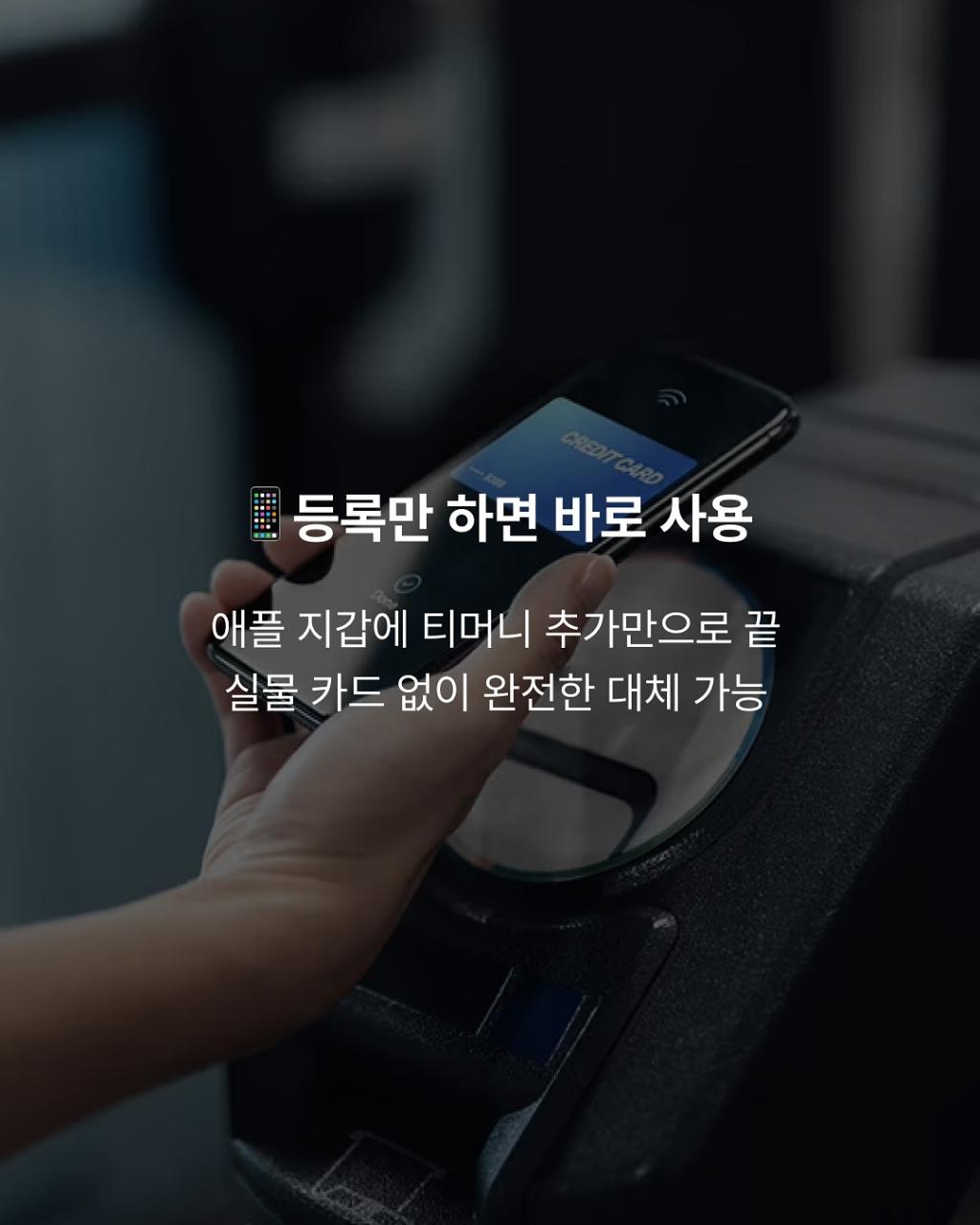 [image] - 6965113.jpg