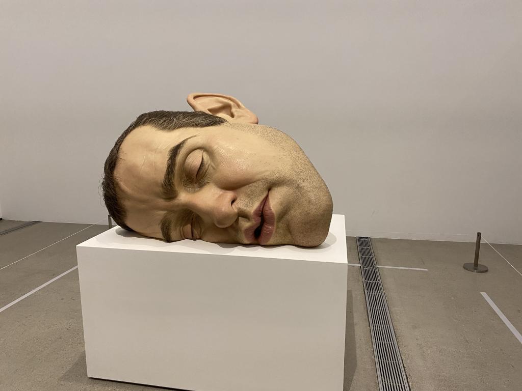 IMG_9764.jpeg.jpg