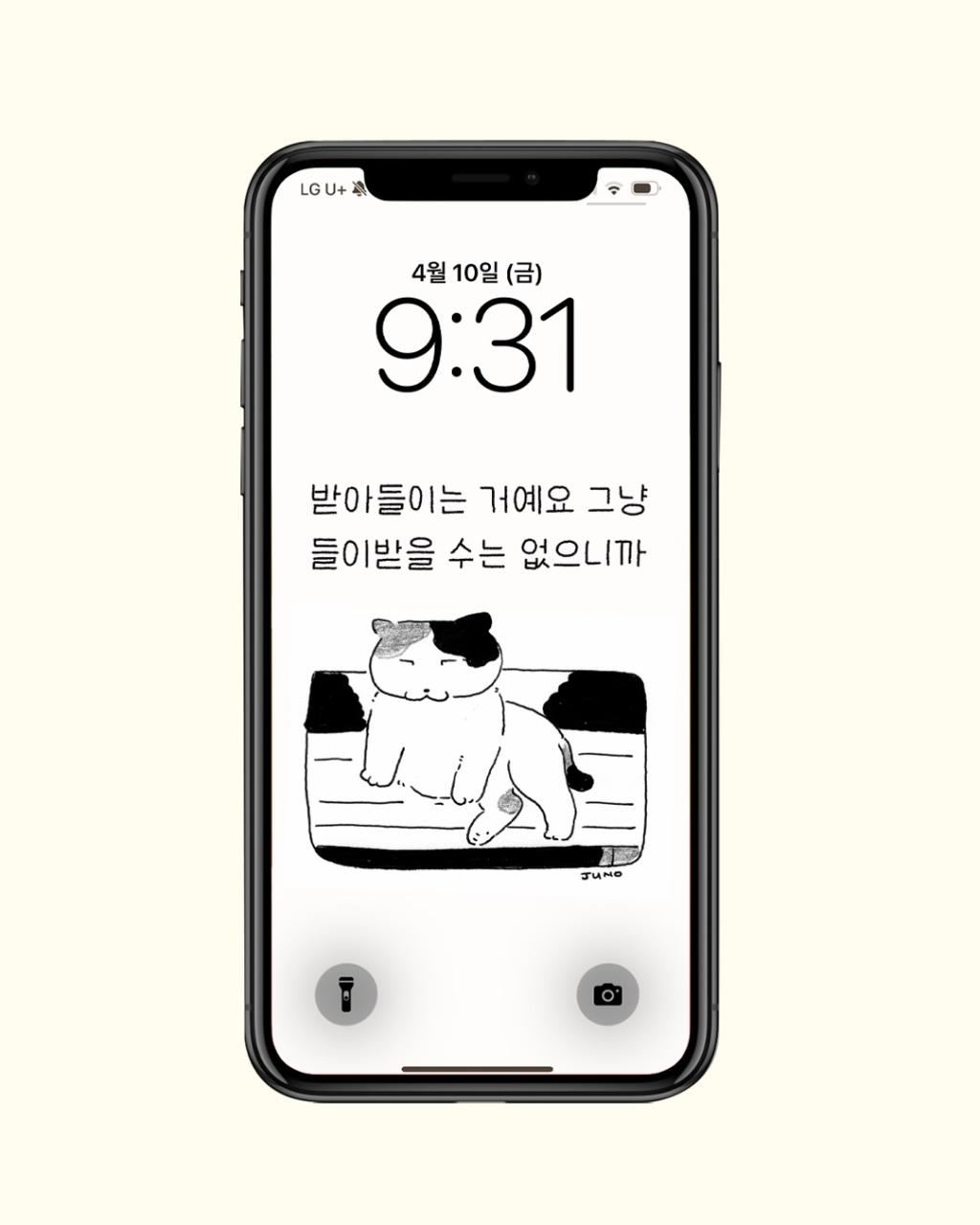 662236064_18576225022015585_5036028953393956802_n.jpg