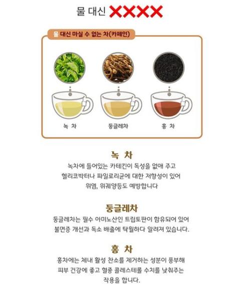 익스트림무비 - 물 대신 마실 수 있는 / 없는 차