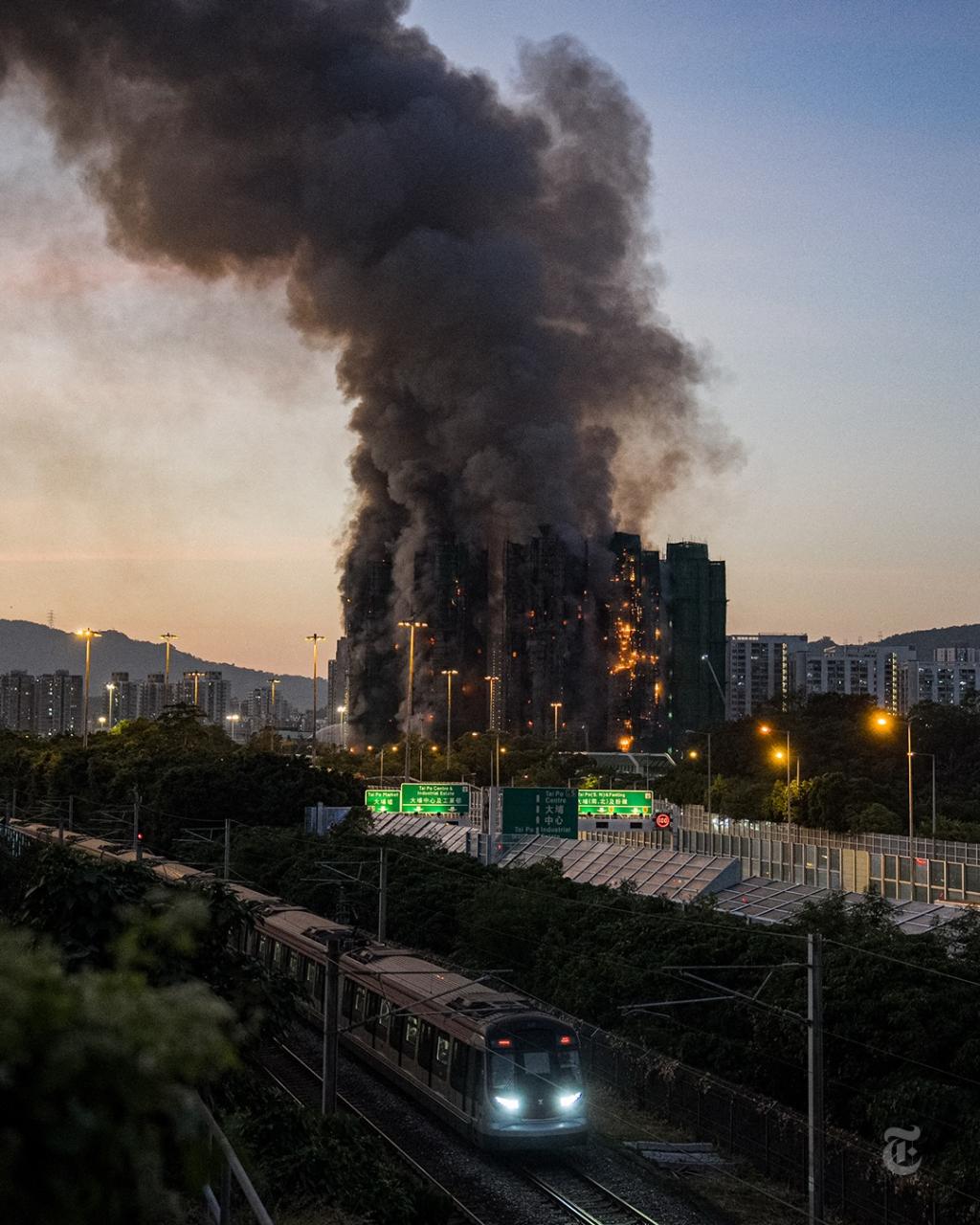 [image] - 6125317.jpg