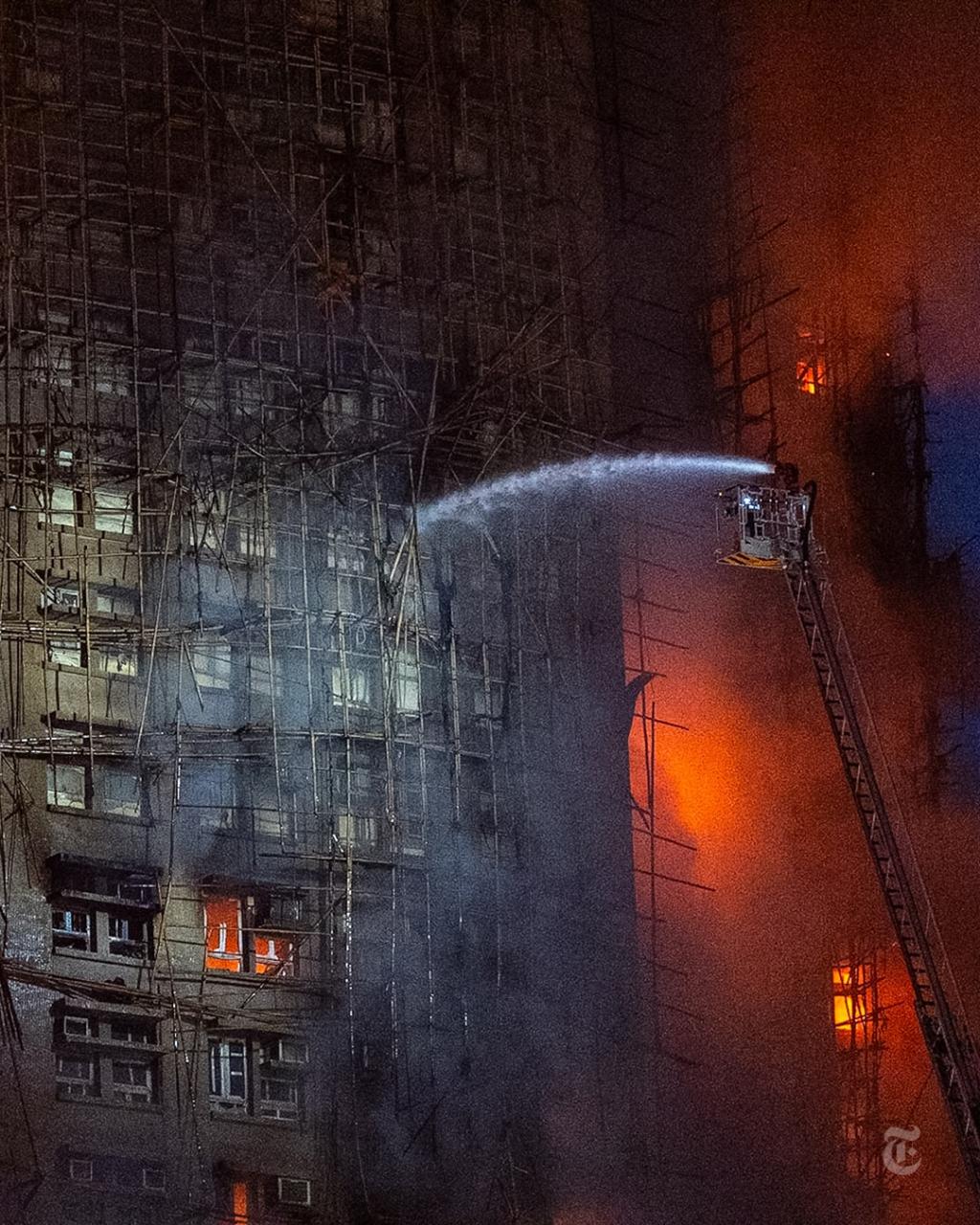 [image] - 2851730.jpg