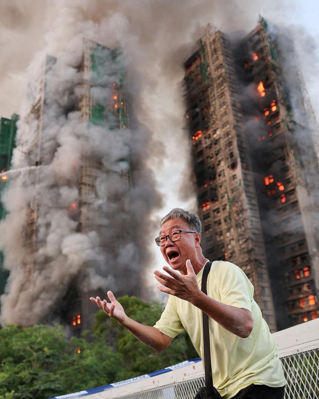 [image] - 4539521.jpg