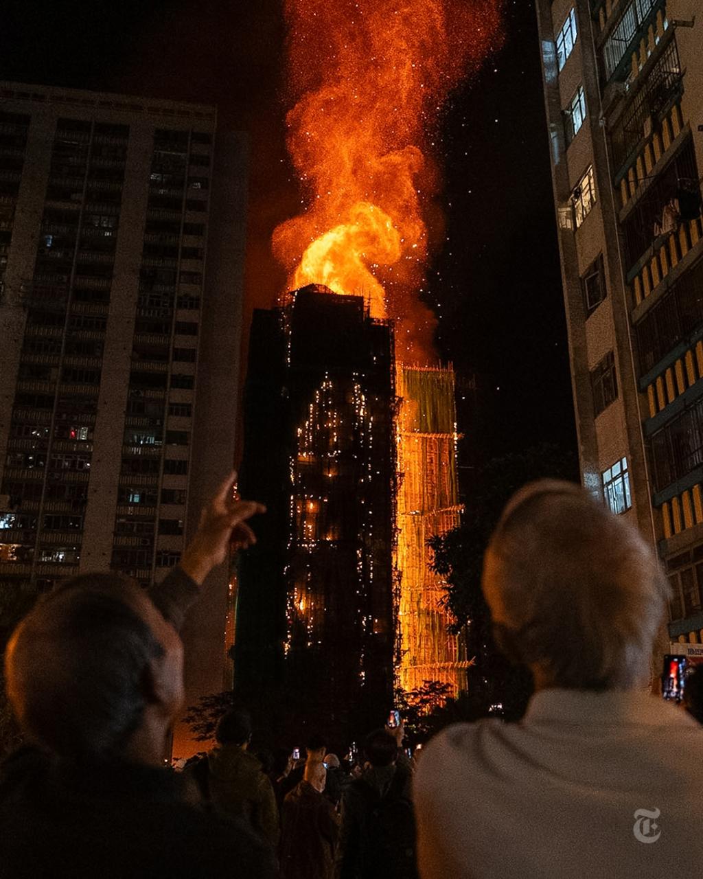 [image] - 8485310.jpg