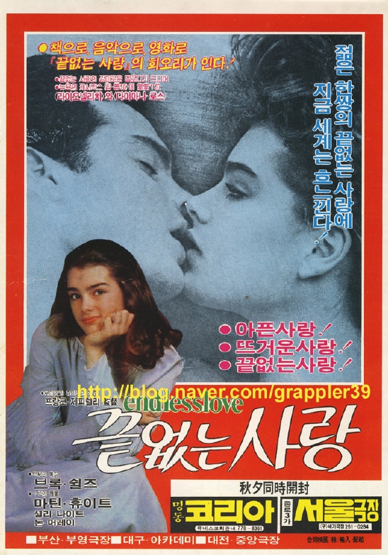 Endless Love_.jpg