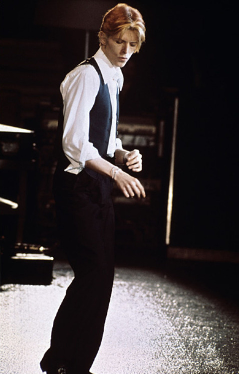 The Thin White Duke.jpg