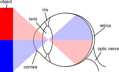 Eye-diagram.png