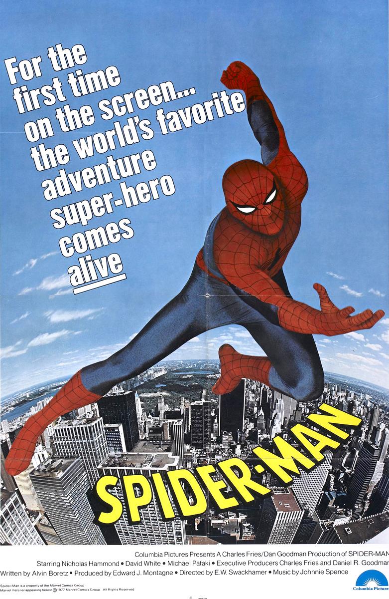 spider.jpg