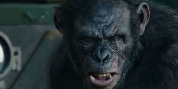 dawn-of-the-planet-of-the-apes-koba.jpg