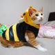 nekotoro