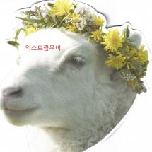램 모형전단 2021.12.29