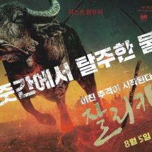 잘리카투 2P전단 2021.8.5